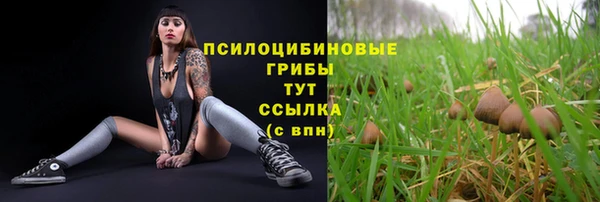 стафф Алексеевка