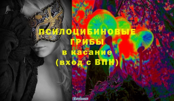 метадон Алексин