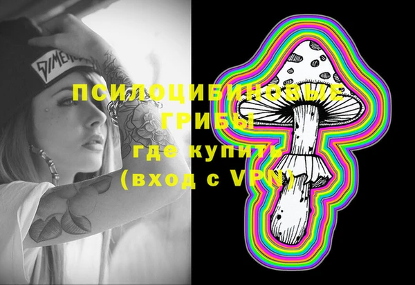 соль ск Алзамай