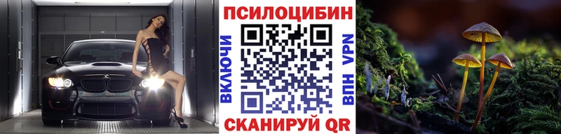 Псилоцибиновые грибы мухоморы  купить наркотик  Выкса 
