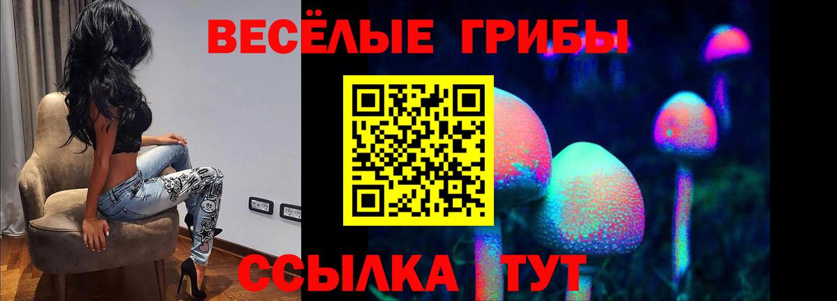 Галлюциногенные грибы Magic Shrooms  закладка  Вход с VPN  Выкса  Галлюциногенные грибы Psilocybine cubensis 
