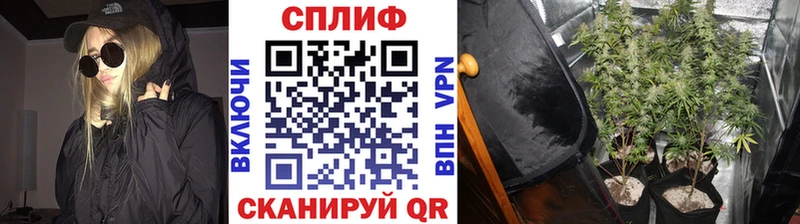 omg ссылка  Выкса  Канабис White Widow 